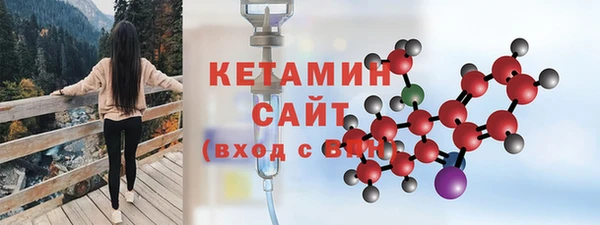 сатива Вяземский