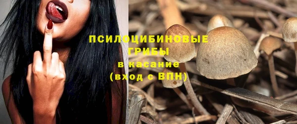 гидра Сатка