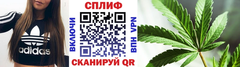 Бошки марихуана White Widow Дигора